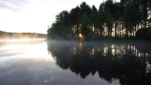 Яко с нами Бог (Соловецкий напев)