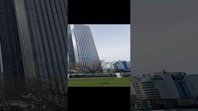 Здание Москва-Сити со стороны.