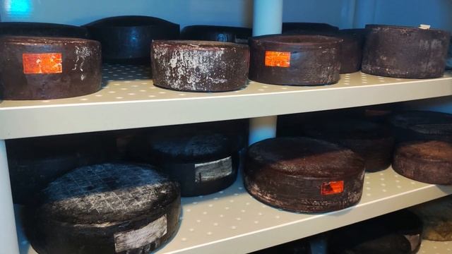 Стеллажи для созревания сыров из полипропилена, Солильный басейн "Экополис" / Установка стеллажей