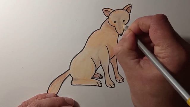 Как нарисовать койота