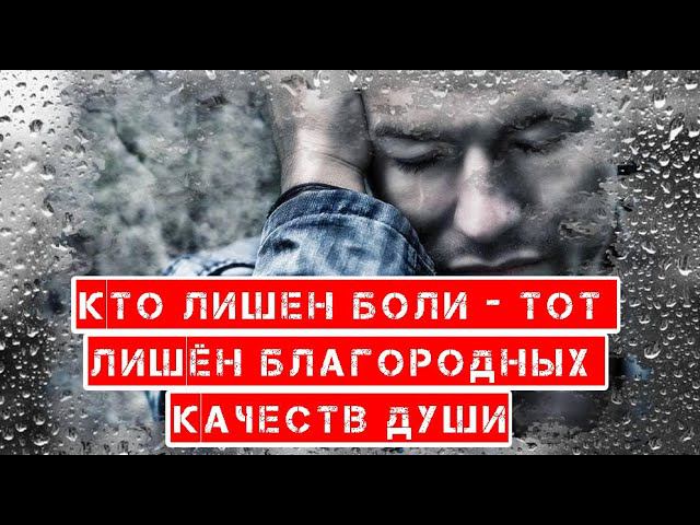 Боль это важная часть нашей жизни. Очень важная информация . смотреть онлайн