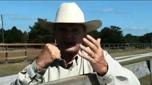 Meet the REAL Dale Peterson, Candidate for State Auditor