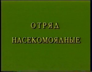 Насекомоядные