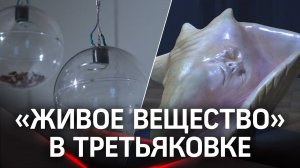 «Живое вещество»: выставка в Новой Третьяковке призывают беречь природу от отходов