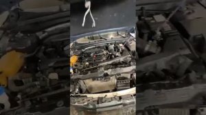 Киа К5 LXS 2021г. Обьем 1.6 турбо. Примерно 12-12.5$ болот