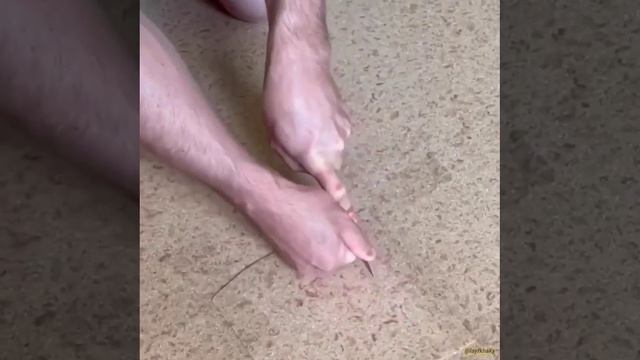 Лайфхаки Заделываем дырку на линолиему смотреть онлайн