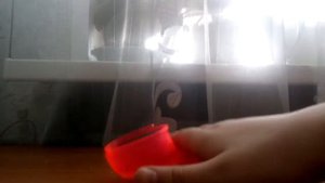 Три (дибильных) способа как играть с пружинкой))) и валентинка  от подруги,спасибо)))