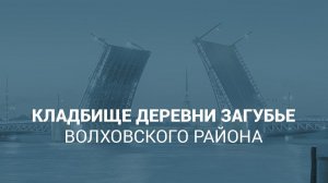 Кладбище деревни Загубье Волховского района