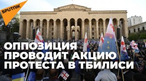 На проспекте Руставели в Тбилиси ЕНД провело акцию протеста