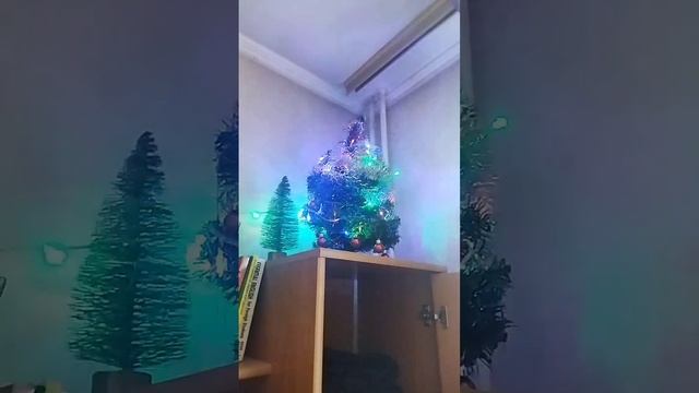 VID_20221218_122420_539 смотреть онлайн