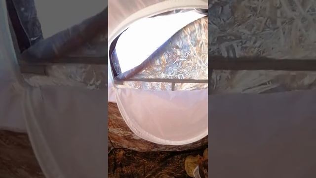 Палатка УП-2 мини и печь Камин от ПФ БЕРЕГ смотреть онлайн