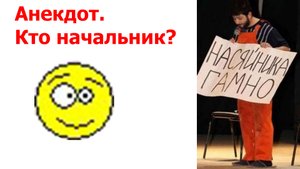 Внутренние органы. Кто будет начальником? Анекдот.