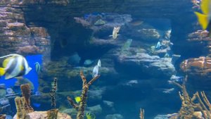 Тайное и неизведанное | 5 часть | "йонагуни"