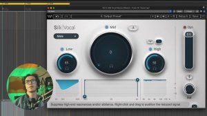 WAVES SILK VOCAL — быстрый взгляд