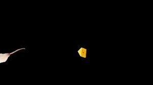 Видео для котиков. Мышка бегает по экрану . Video for cats. Game for cats. 2