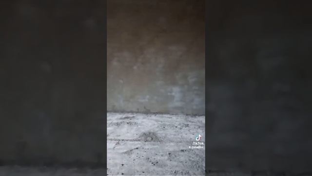 18 сентября 2023 г. смотреть онлайн