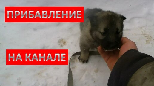 НОВЫЙ УЧАСТНИК КАНАЛАЗНАКОМТЕСЬ АРЕС смотреть онлайн