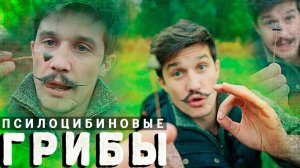 ПСИЛОЦИБИН | ГРИБЫ | НЕПОДКОНТРОЛЬНЫЙ КАЙФ | ОТЕЦ ОЛЕГ