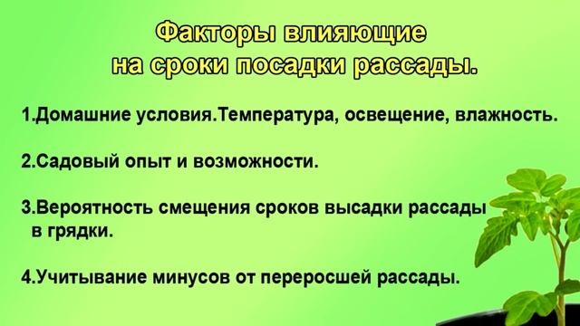 Когда начинать сеять перцы,  томаты? Два главных правила.