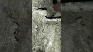 Почему не держит ручник и замена цилиндра тормозов ВАЗ гранта приора
