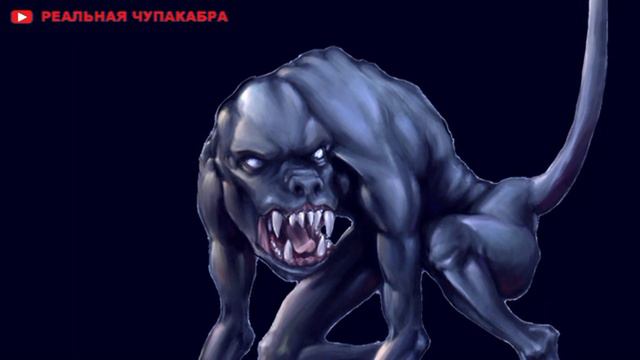 Что такое Чупакабра ? смотреть онлайн