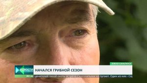Грибы на Сахалине. Как не съесть ядовитый?