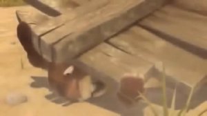 Смешной мультик про бобра