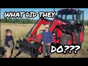 #85. Belarus 82.1 with Turs 1500m loader in RUSSIA 3.08.2024