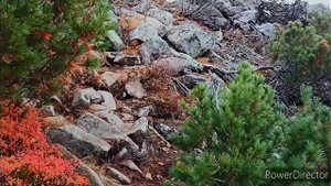 подъём к куполу "Оборона"- остаткам военной части "Магадан".