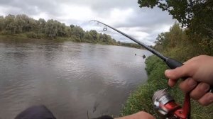 Осень, ЗНАЧИТ ПОРА ловить щуку и судака на джиг! Рыбалка и ловля на спиннинг