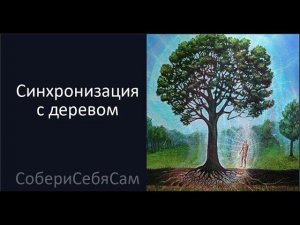 Синхронизация с деревом