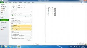 Print Preview and Basic Print Settings - Excel 2010 Level 1