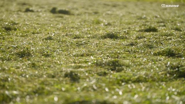 Vendro T 900 | T 1020 | T 1120 – прицепные роторные ворошилки от KRONE смотреть онлайн