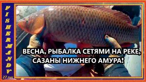 Весна, рыбалка сетями на реке, сазаны нижнего Амура!