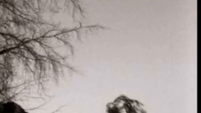 David Sylvian & Ryuichy Sakamoto - Zero Landmine смотреть онлайн