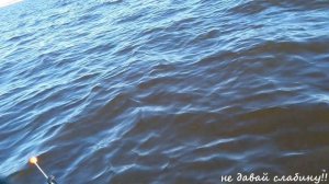 корюшка рыбалка с лодки