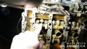 Ауди S8 кузов d2 замена ремня ГРМ комплектом и цепей распред валов