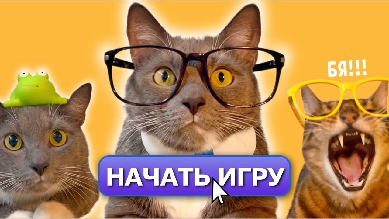 Школа котиков видео