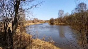 Разлив реки Которосль в Красных Ткачах