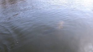 Белинский банк. Думал зацеп, а там такое. Рыбалка с лодки 20 марта 2022 года