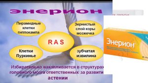 энерион
