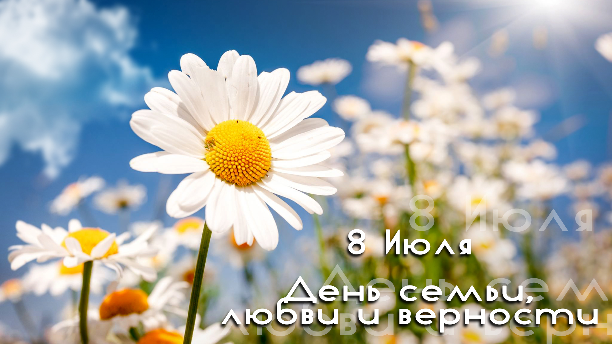 День Семьи 2022.mp4 смотреть онлайн