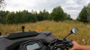К нам едет ревизор!