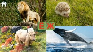 Учим буквы для малышей. Мультик для детей +3 учим животных и буквы.