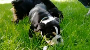 Барселона. Первая прогулка