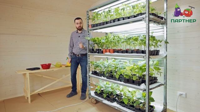 САМОДЕЛЬНЫЙ МЕГА-РАССАДНИК ДЛЯ КВАРТИРЫ смотреть онлайн