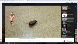 Реакция На Видео Про Смешного Таракана