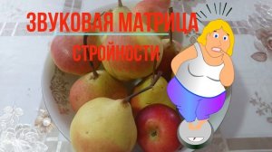 Снижение Веса -Звуковая Матрица Стройности ?Weight Loss - The Sound Matrix of Slimness