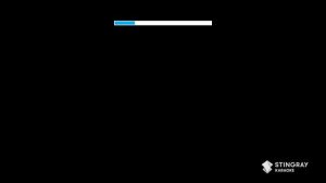 Whitney Houston - I Will Always Love You (Karaoke With Lyrics) @StingrayKaraoke