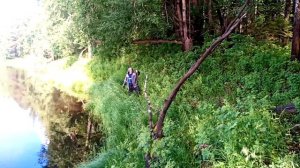 #блеснанащуку Щуки, окуни и язи дуреют от этой блесны Рыбалка в Сибири ХМАО на старице таежной реки